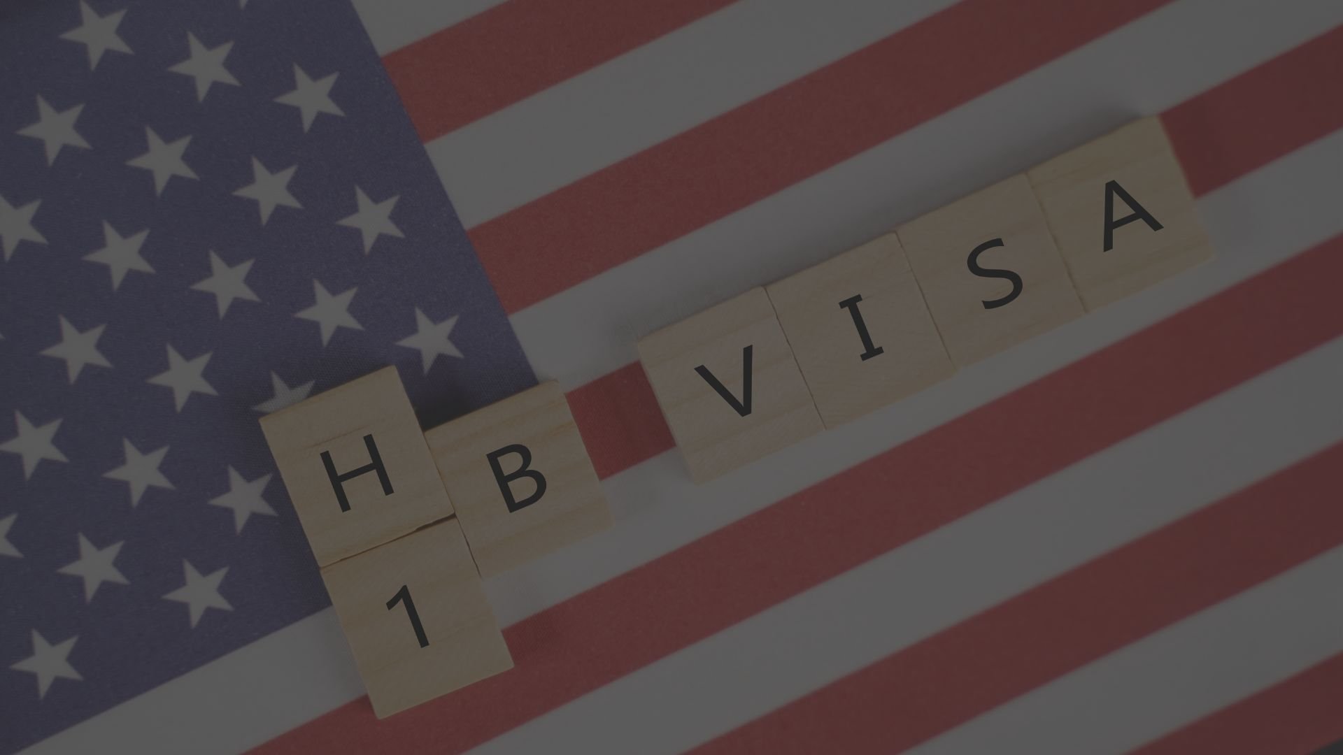 H1B FY2025 Lottery Results Your Next Steps Explained CPTDog